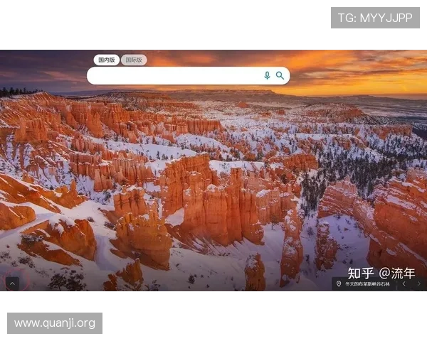 国际必应网址官方入口指南，助你无障碍浏览全球互联网内容